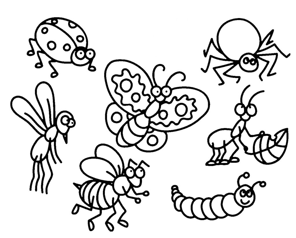 Ausmalbild Insekten, Schmetterlinge, Käfer, Maikäfer, Marienkäfer ...